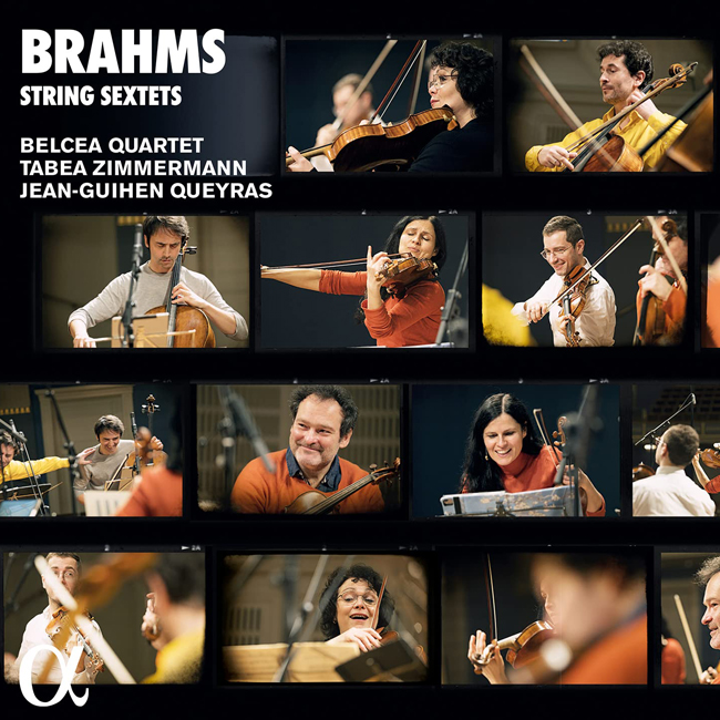 Brahms String Quartets Piano Quintet